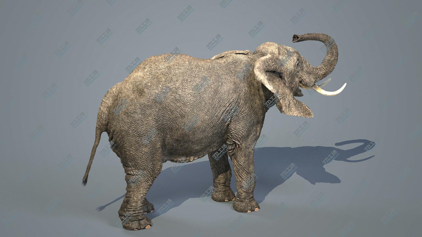 images/goods_img/202105072/3D model Elephant-Maya-Animated/2.jpg